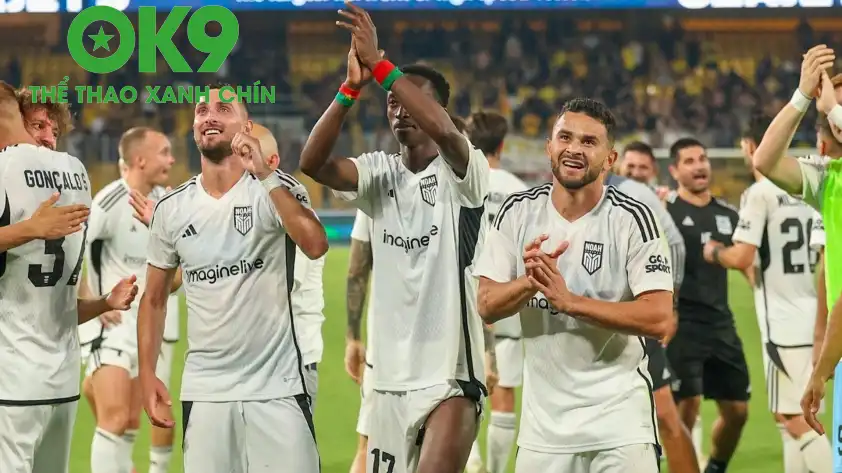 e770cad0 9788 11ef aaff a1c886d0b787 215508avatar