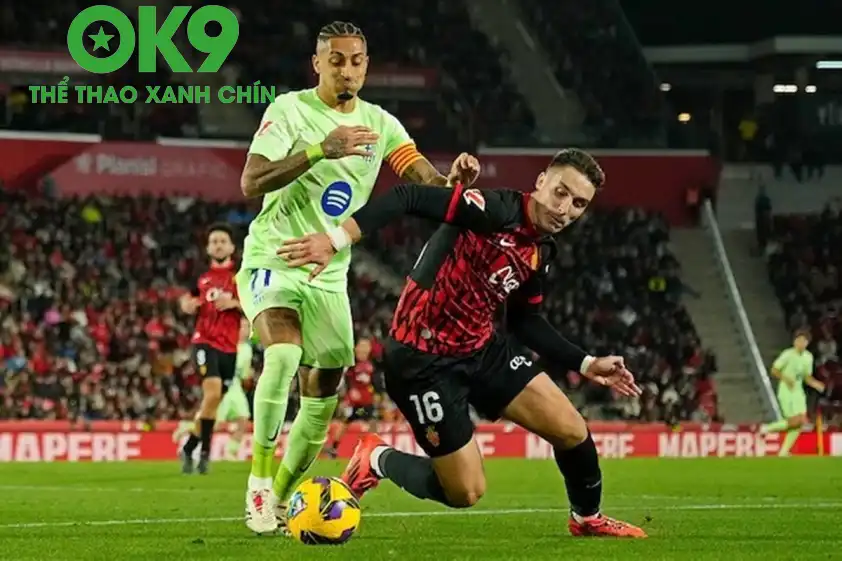 library upload 21 2024 12 645x430 mallorca barcelona l 76c8bf9 155005