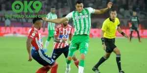 6289bf75bf8a9r 16577107554210 210005